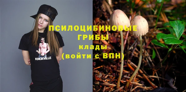 ECSTASY Баксан
