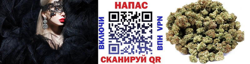 Конопля ГИДРОПОН Новое Девяткино